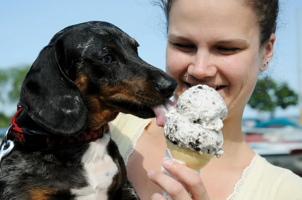 Ontario Summer 2026 May Be Cooler Than Expected as El Niño Returns